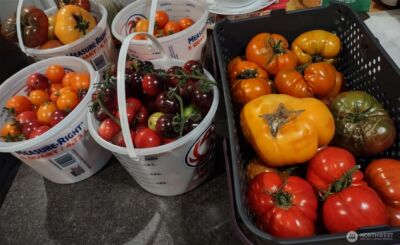 11134 Winlock Court SE, Olympia, WA 98513 - Photo 32