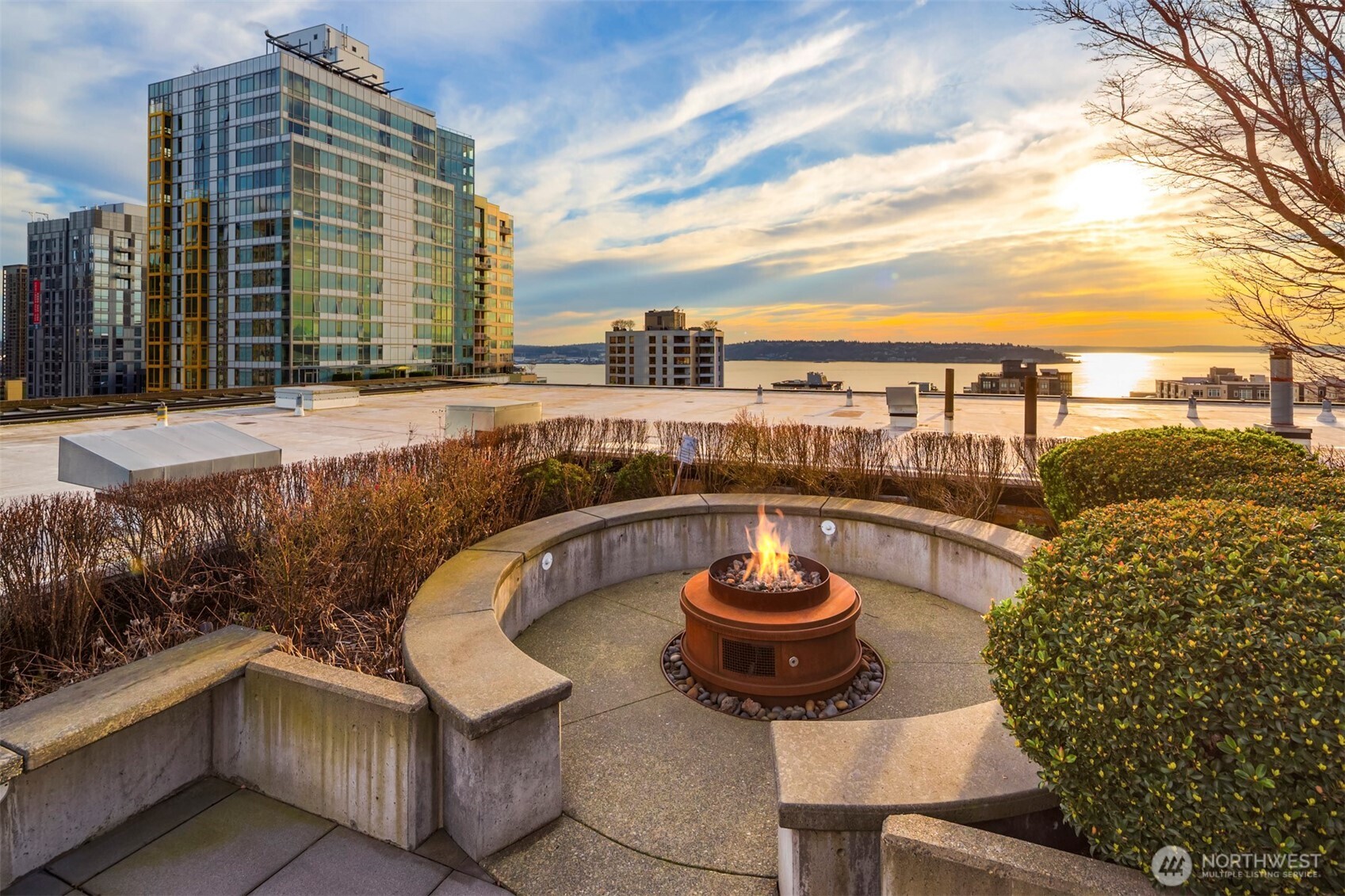 2720 3rd Avenue #603, Seattle, WA 98121