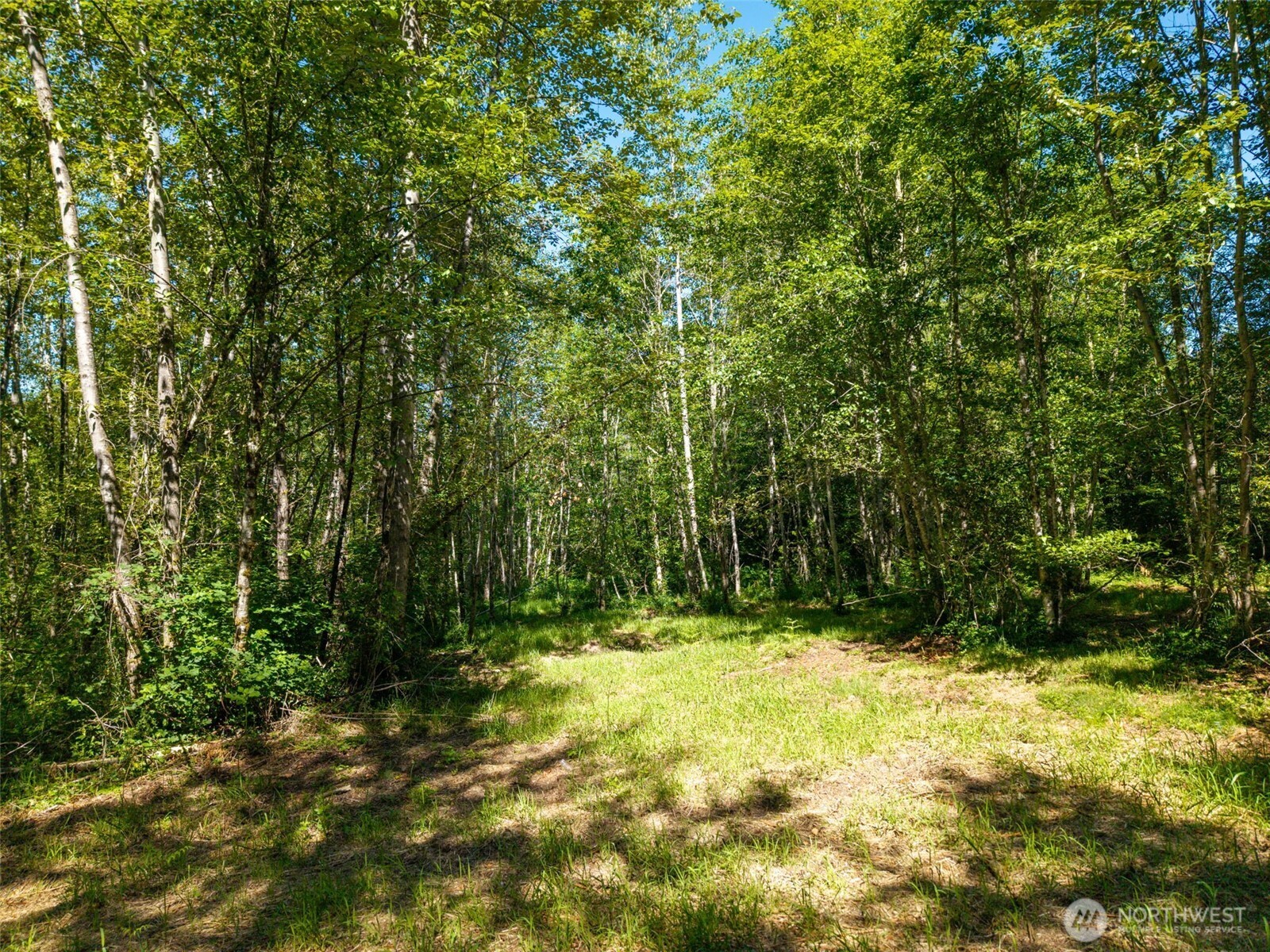 0 236the Ave NE , Woodinville, WA 98077