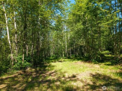 0 236the Ave NE , Woodinville, WA 98077 - Photo 11