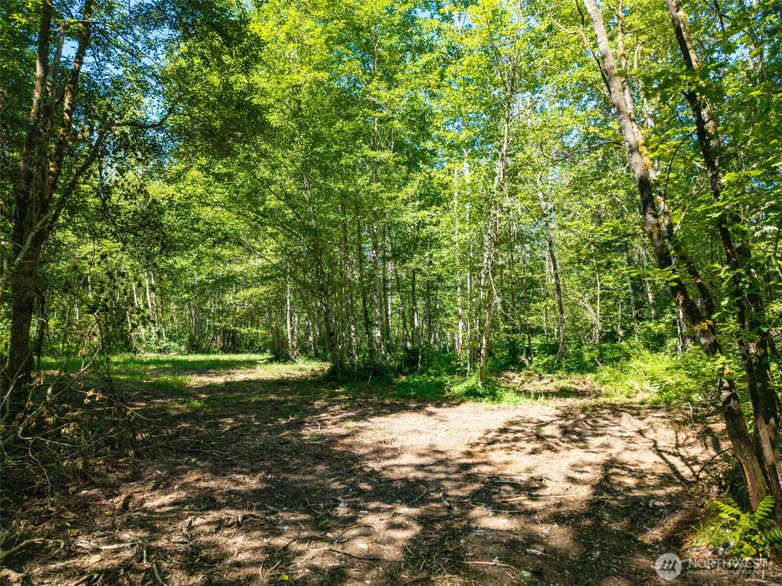 0 236the Ave NE , Woodinville, WA 98077