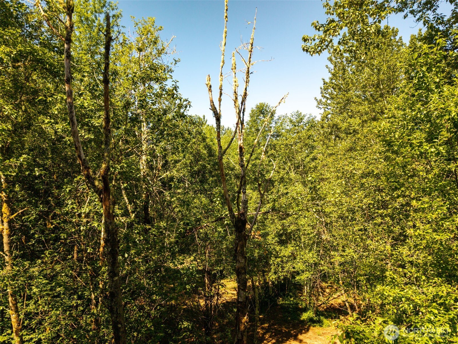 0 236the Ave NE , Woodinville, WA 98077