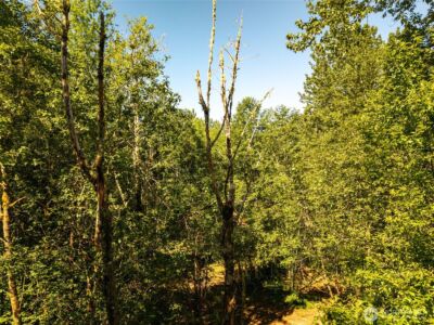 0 236the Ave NE , Woodinville, WA 98077 - Photo 15