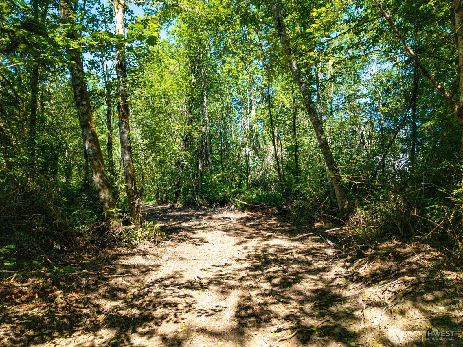 0 236the Ave NE , Woodinville, WA 98077