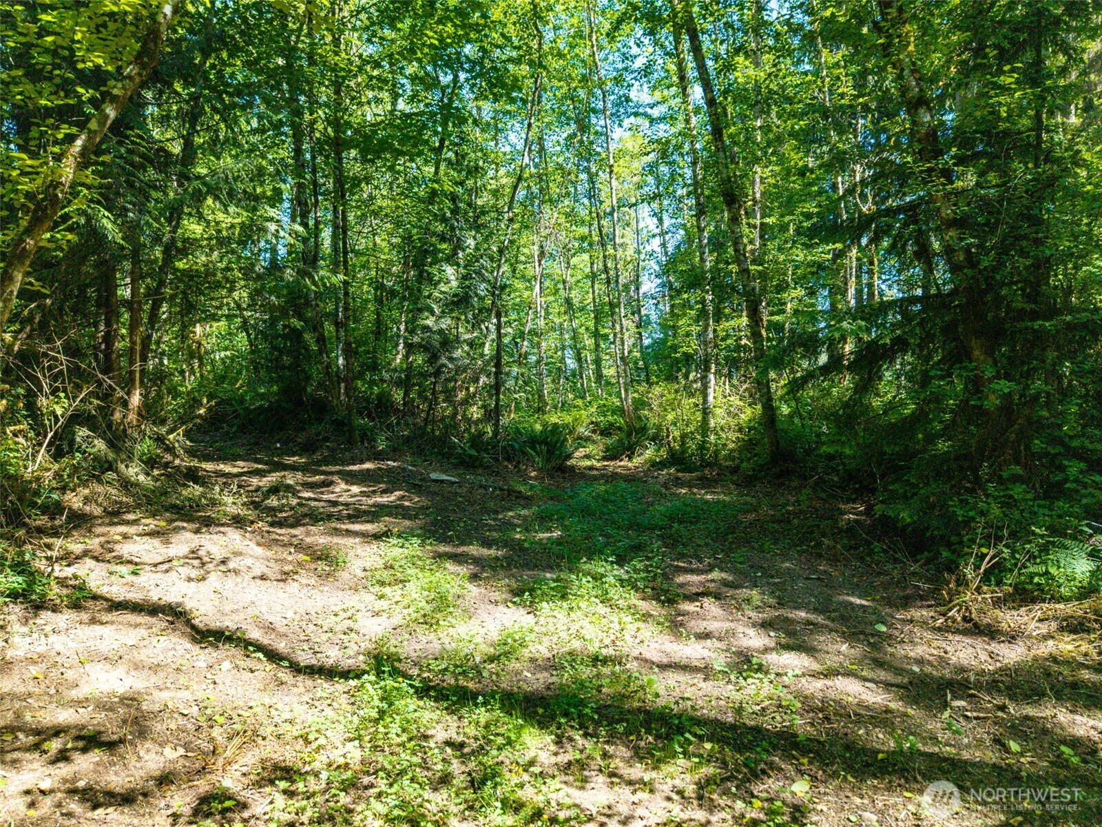 0 236the Ave NE , Woodinville, WA 98077