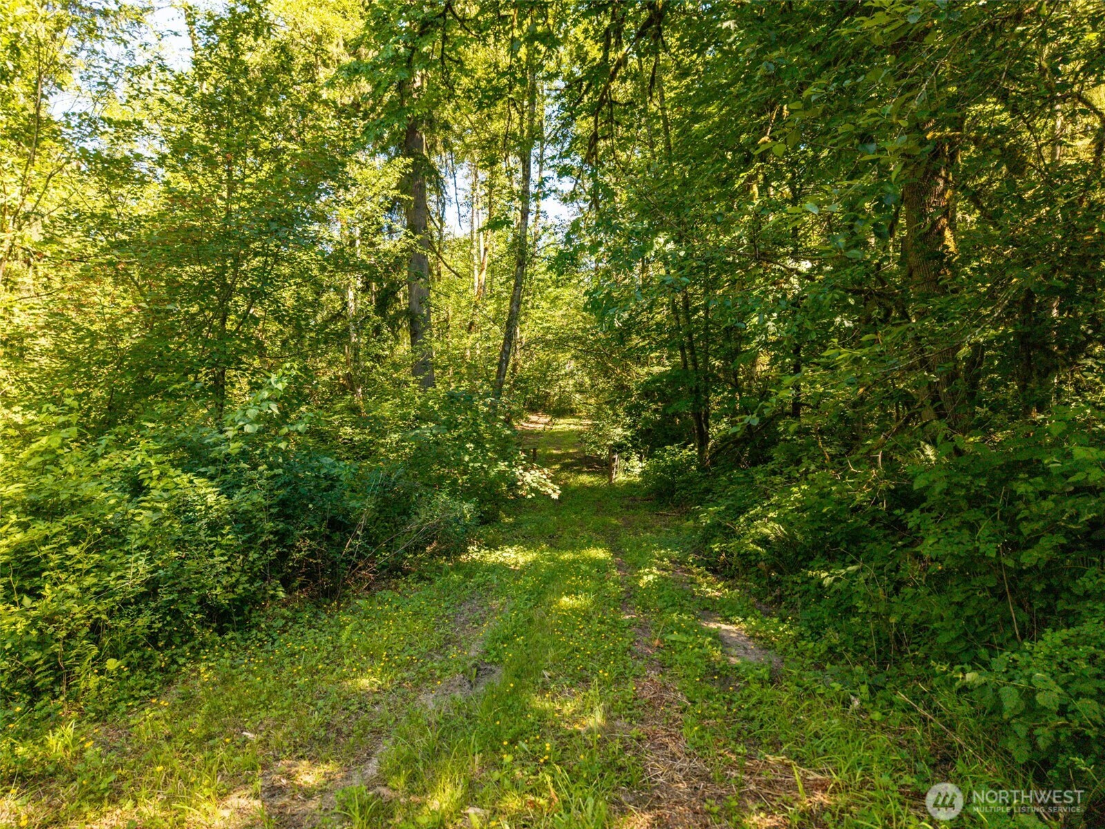 0 236the Ave NE , Woodinville, WA 98077