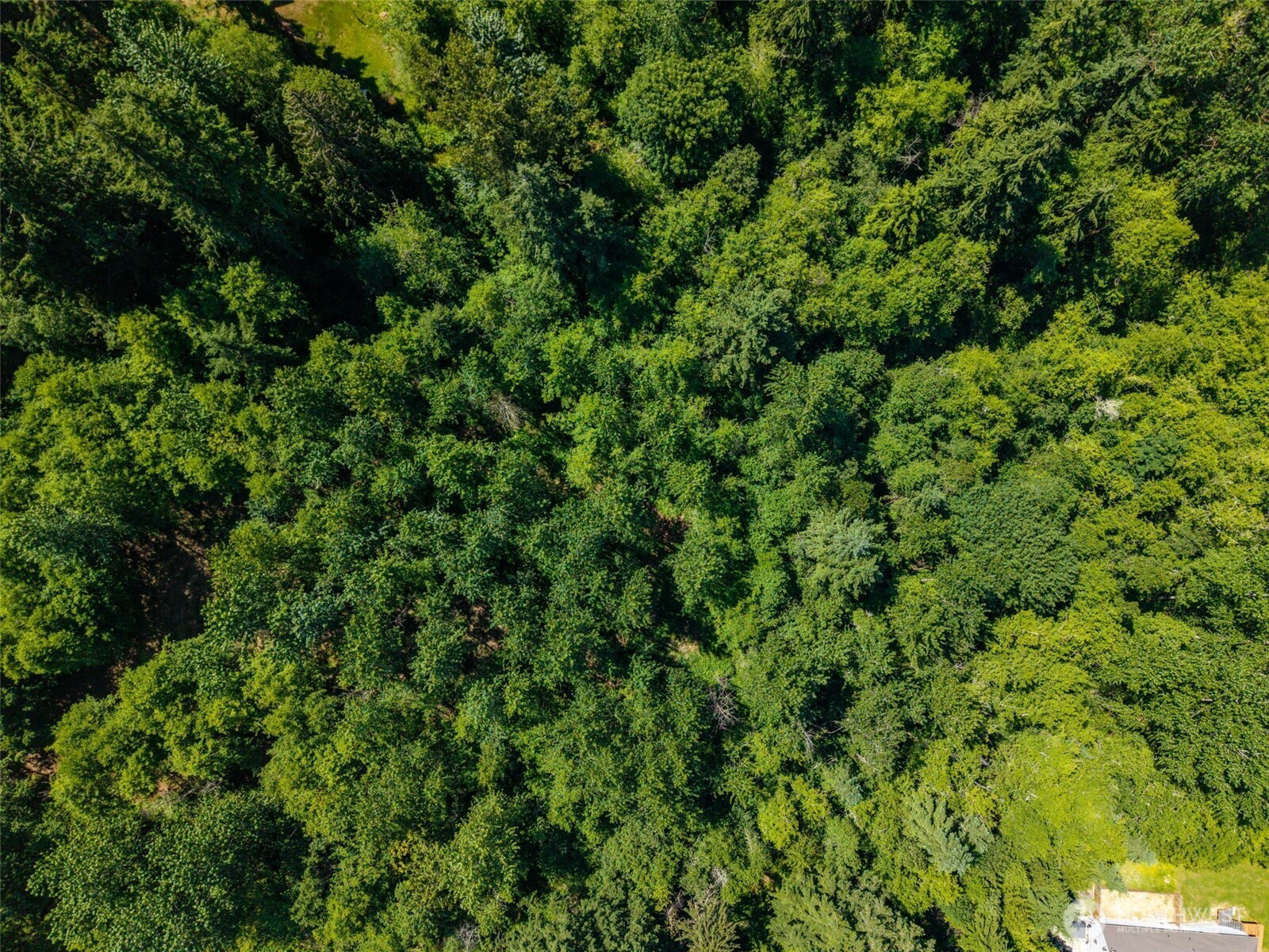 0 236the Ave NE , Woodinville, WA 98077