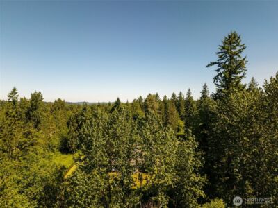 0 236the Ave NE , Woodinville, WA 98077 - Photo 7