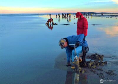 317 Sand Dune Avenue NW, Ocean Shores, WA 98569 - Photo 11