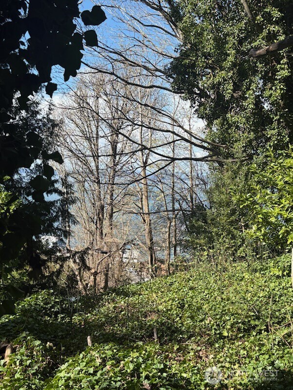 38 XX Boyd Place SW, Seattle, WA 98116-3589