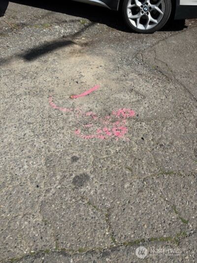 38 XX Boyd Place SW, Seattle, WA 98116-3589 - Photo 10