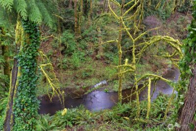 2415 SW Tyndell Circle , Tumwater, WA 98512 - Photo 40