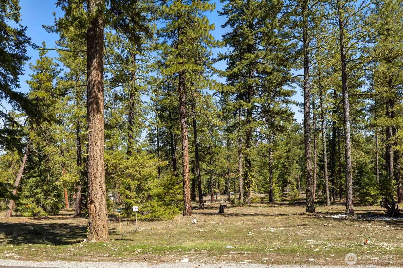 107 Wanawish Loop , Cle Elum, WA 98922