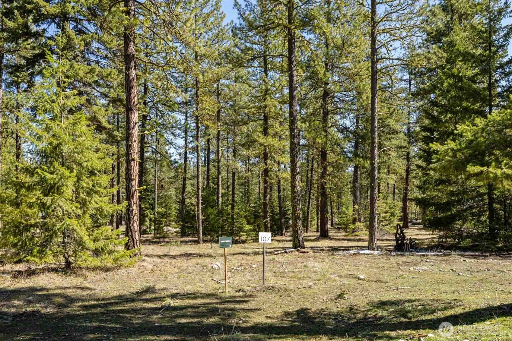 107 Wanawish Loop , Cle Elum, WA 98922