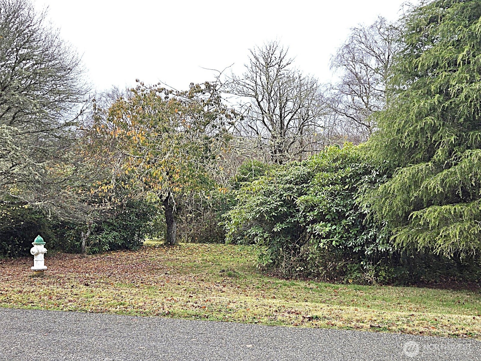 2315 Pleasant Drive S, Westport, WA 98595