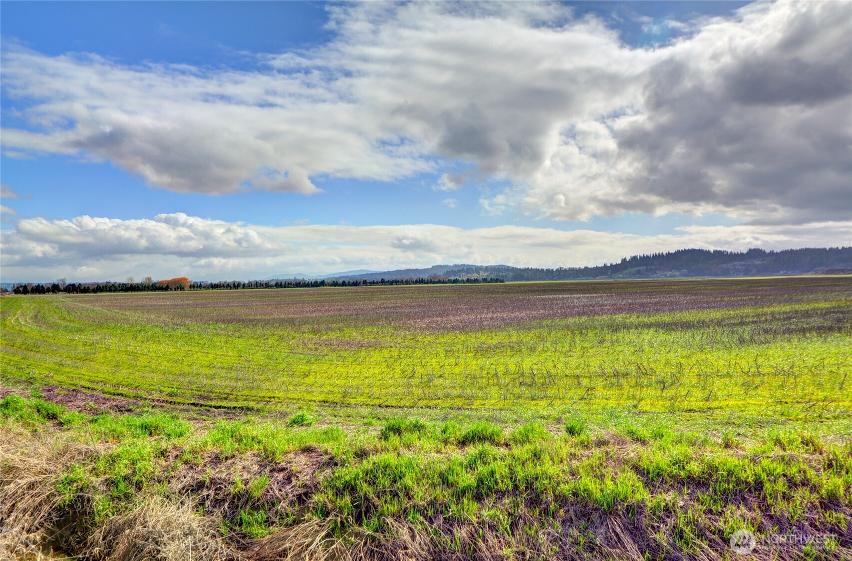 6910 Marsh Road , Snohomish, WA 98296