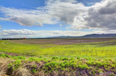 6910 Marsh Road , Snohomish, WA 98296 - Photo 5