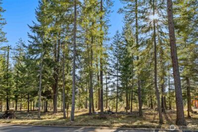 80 Wanawish Loop , Cle Elum, WA 98940 - Photo 14