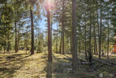 80 Wanawish Loop , Cle Elum, WA 98940 - Photo 16