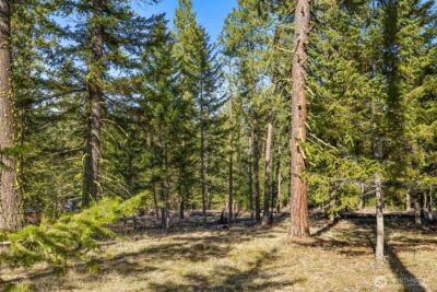 80 Wanawish Loop , Cle Elum, WA 98940 - Photo 17