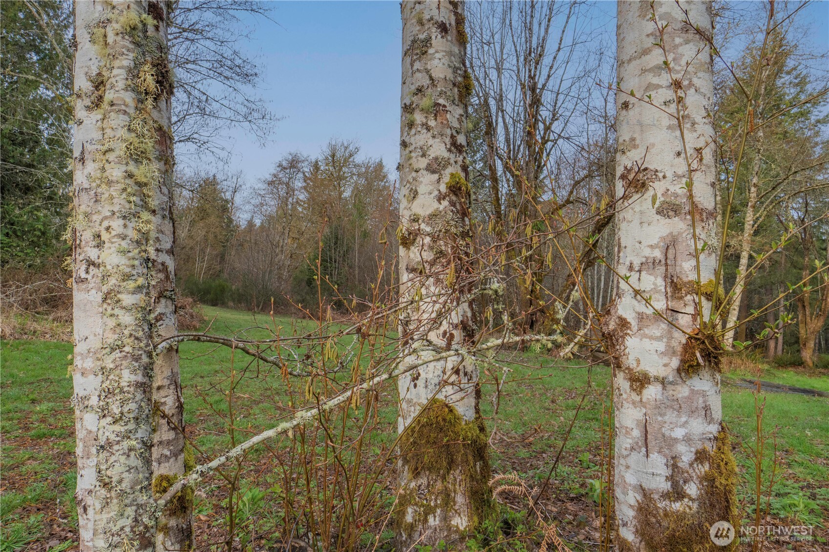 245 145th Lane SW, Tenino, WA 98589-3448