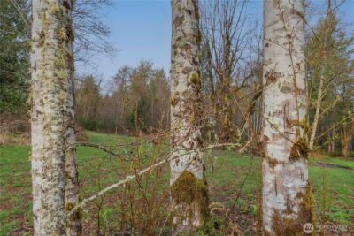 245 145th Lane SW, Tenino, WA 98589-3448 - Photo 9