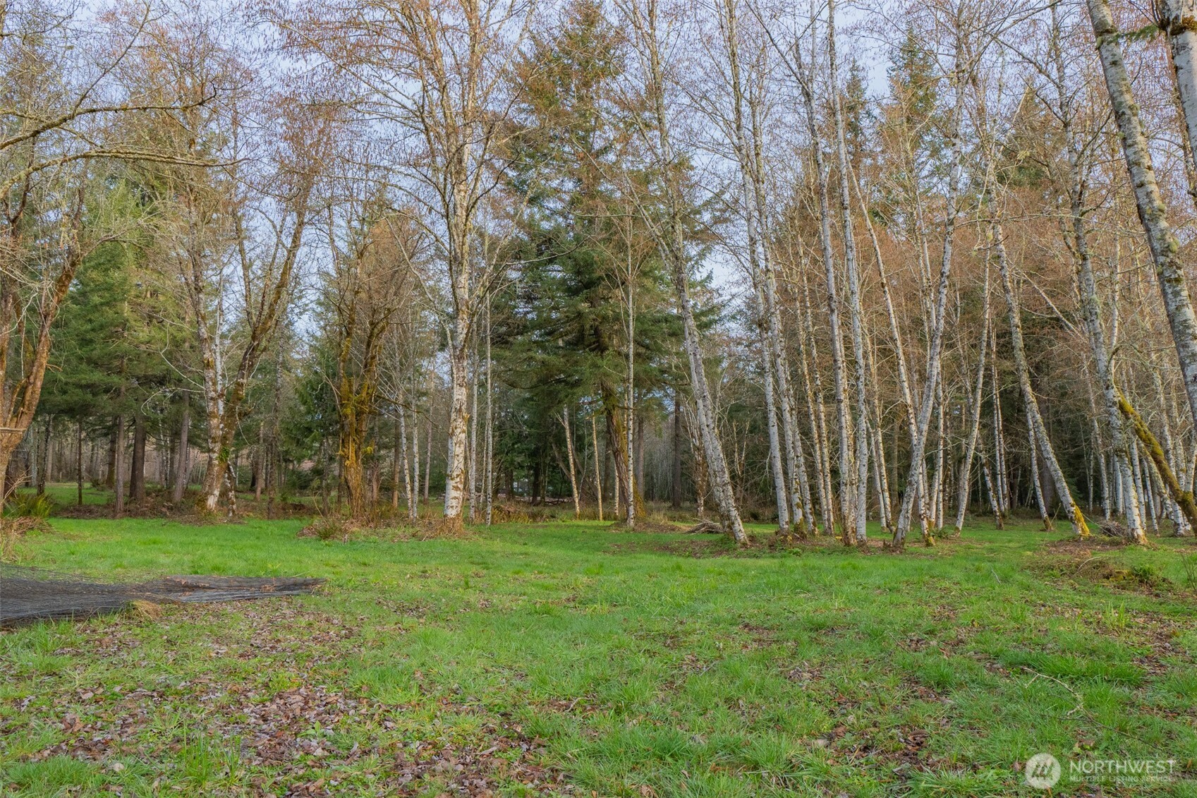 245 145th Lane SW, Tenino, WA 98589-3448