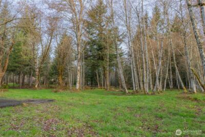 245 145th Lane SW, Tenino, WA 98589-3448 - Photo 10