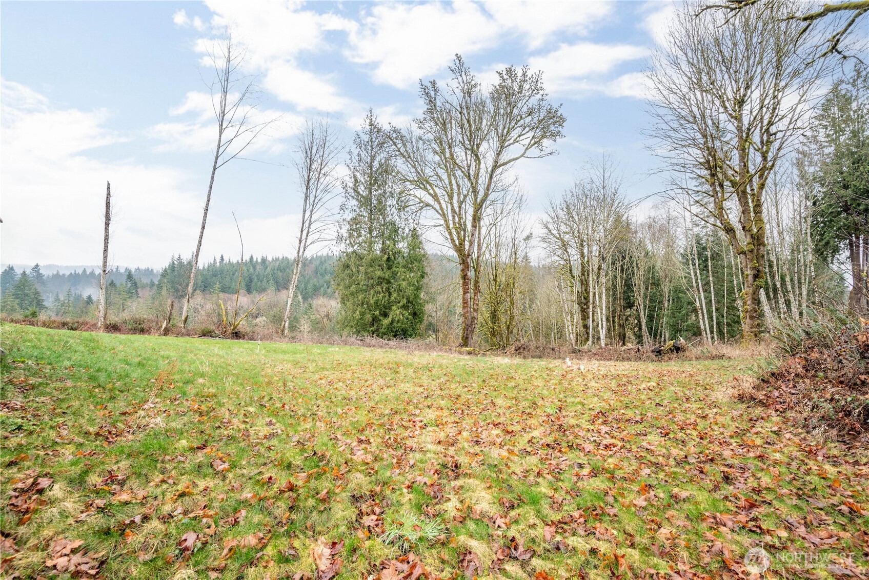 3021 Stella Road , Longview, WA 98632