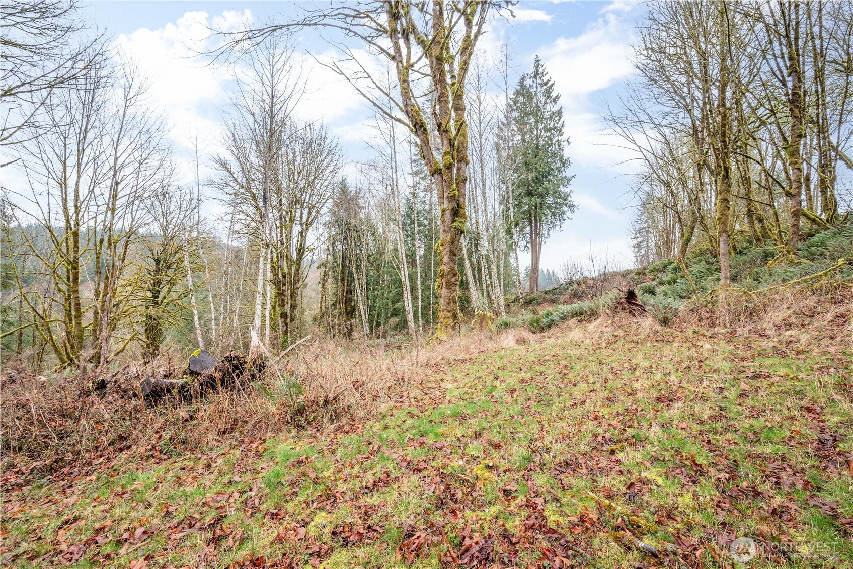 3021 Stella Road , Longview, WA 98632