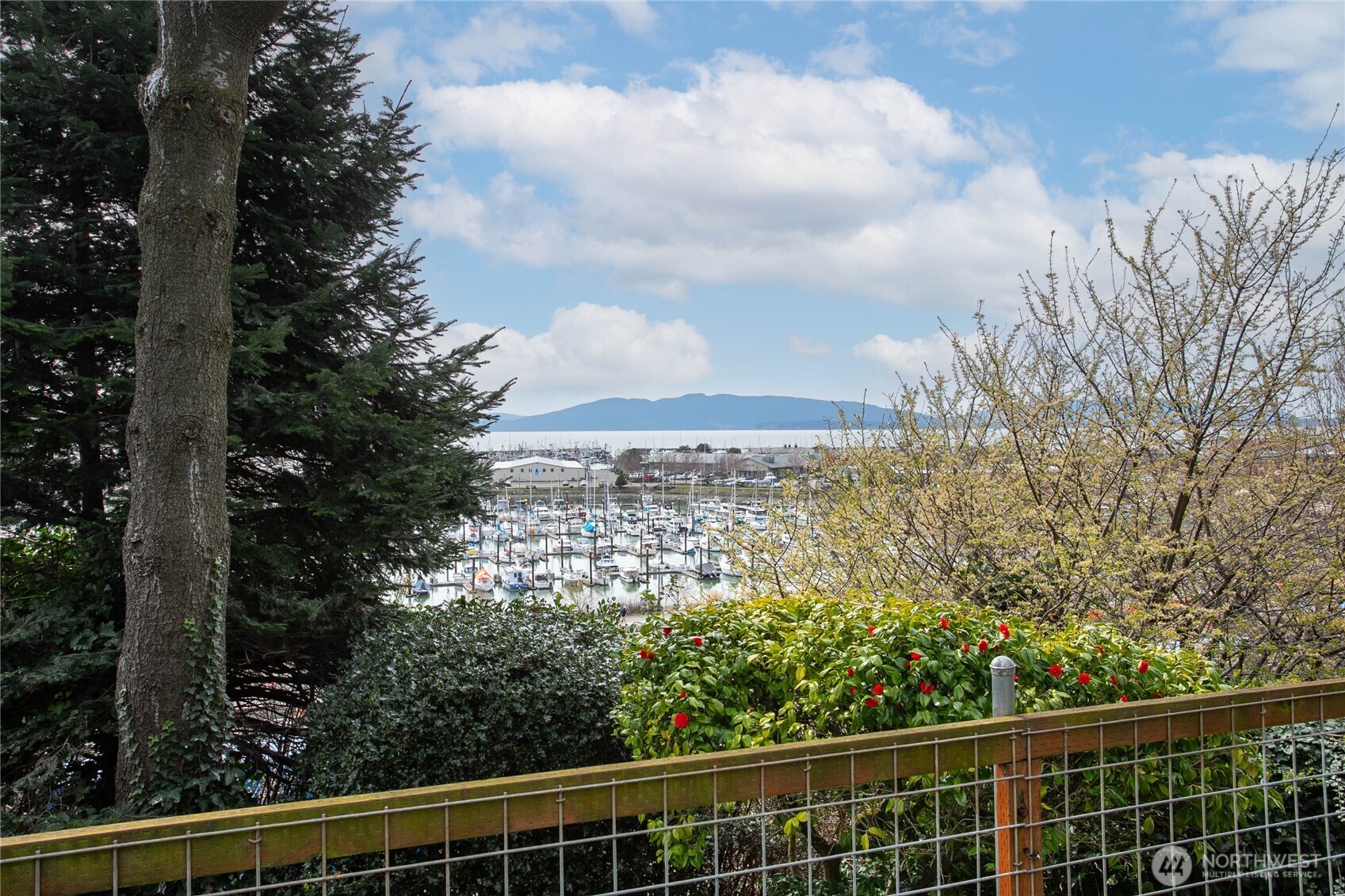 2209 Eldridge Avenue , Bellingham, WA 98225