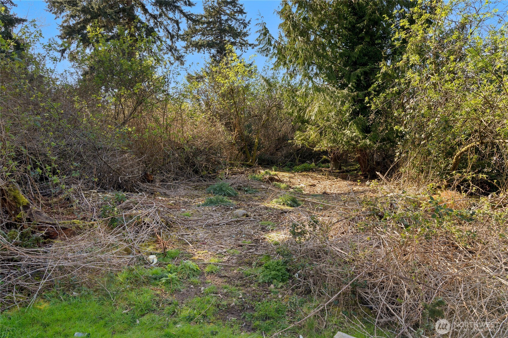 0 S Hodges Avenue , Langley, WA 98260