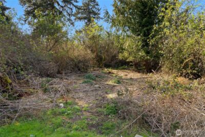 0 S Hodges Avenue , Langley, WA 98260 - Photo 3