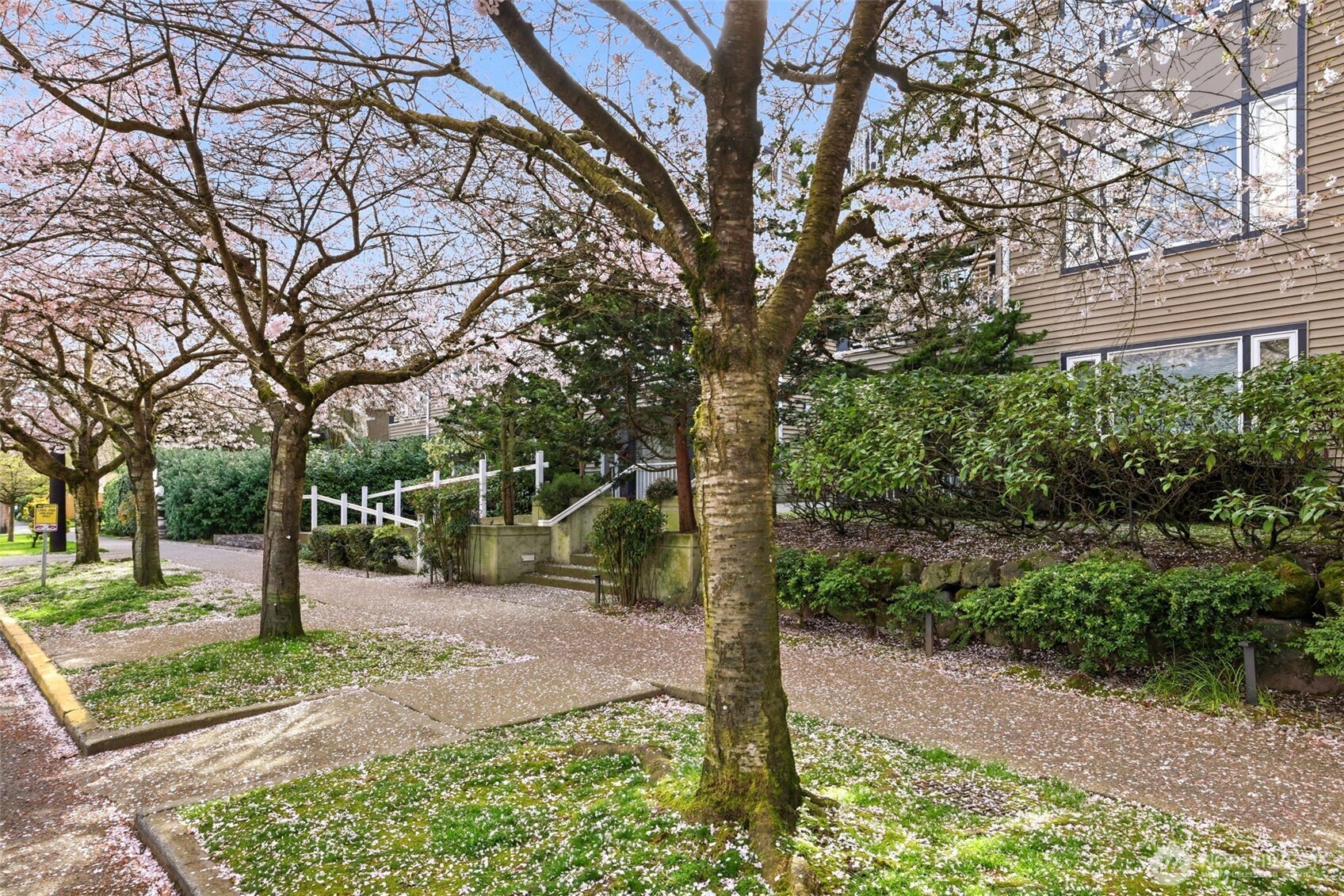 215 20th Avenue E #105, Seattle, WA 98112