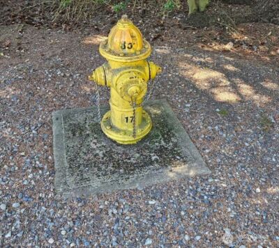 14310 168th Avenue NE, Woodinville, WA 98072 - Photo 11