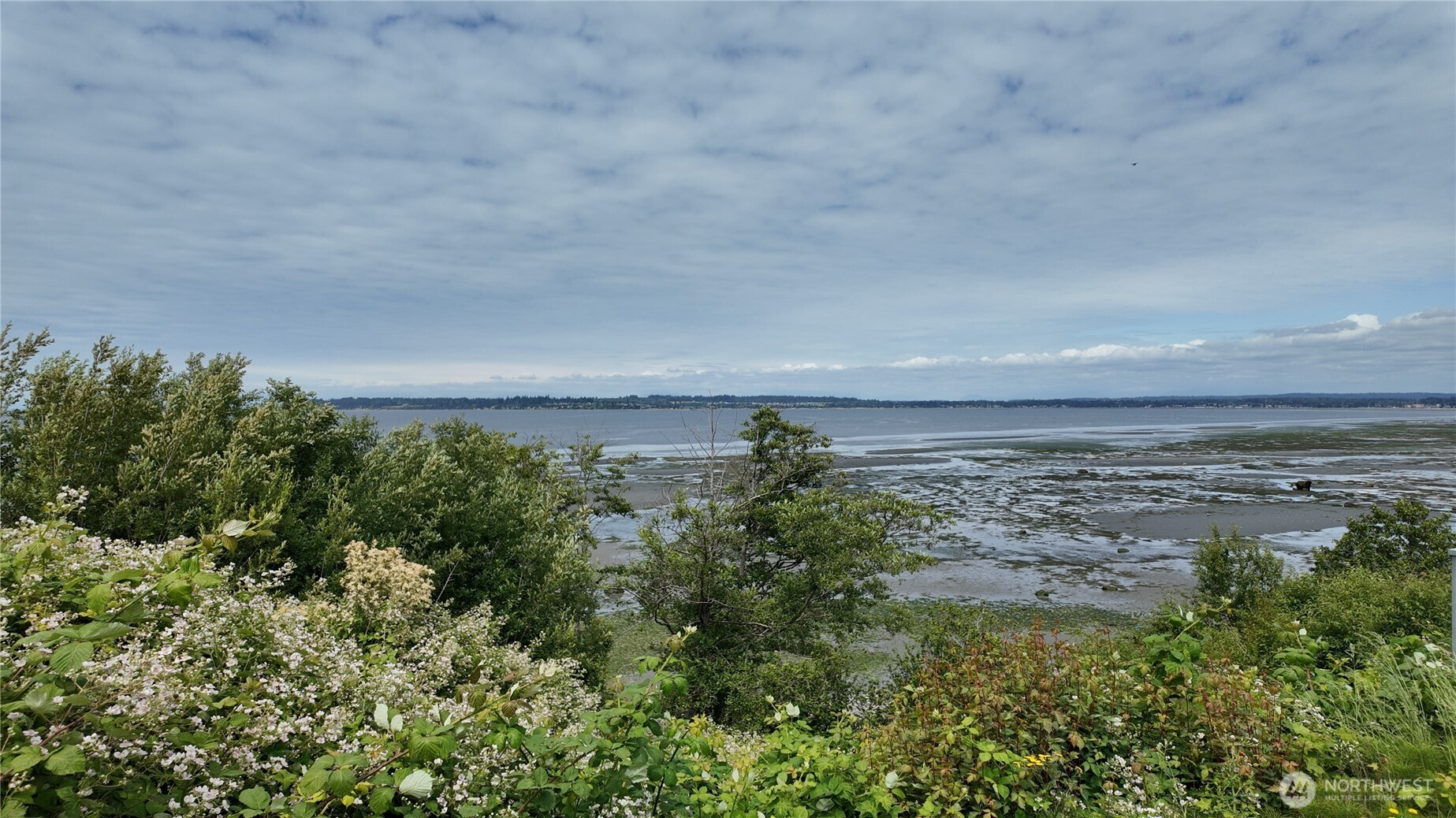 692 X Holeman Avenue , Blaine, WA 98230