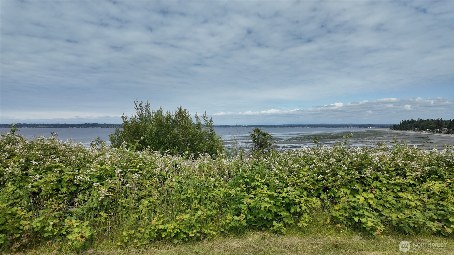 692 X Holeman Avenue , Blaine, WA 98230