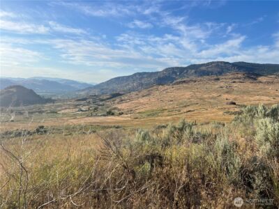 0 TBD Airport Pickens Mtn Road , Oroville, WA 98844 - Photo 4