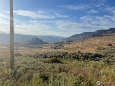 0 TBD Airport Pickens Mtn Road , Oroville, WA 98844 - Photo 8