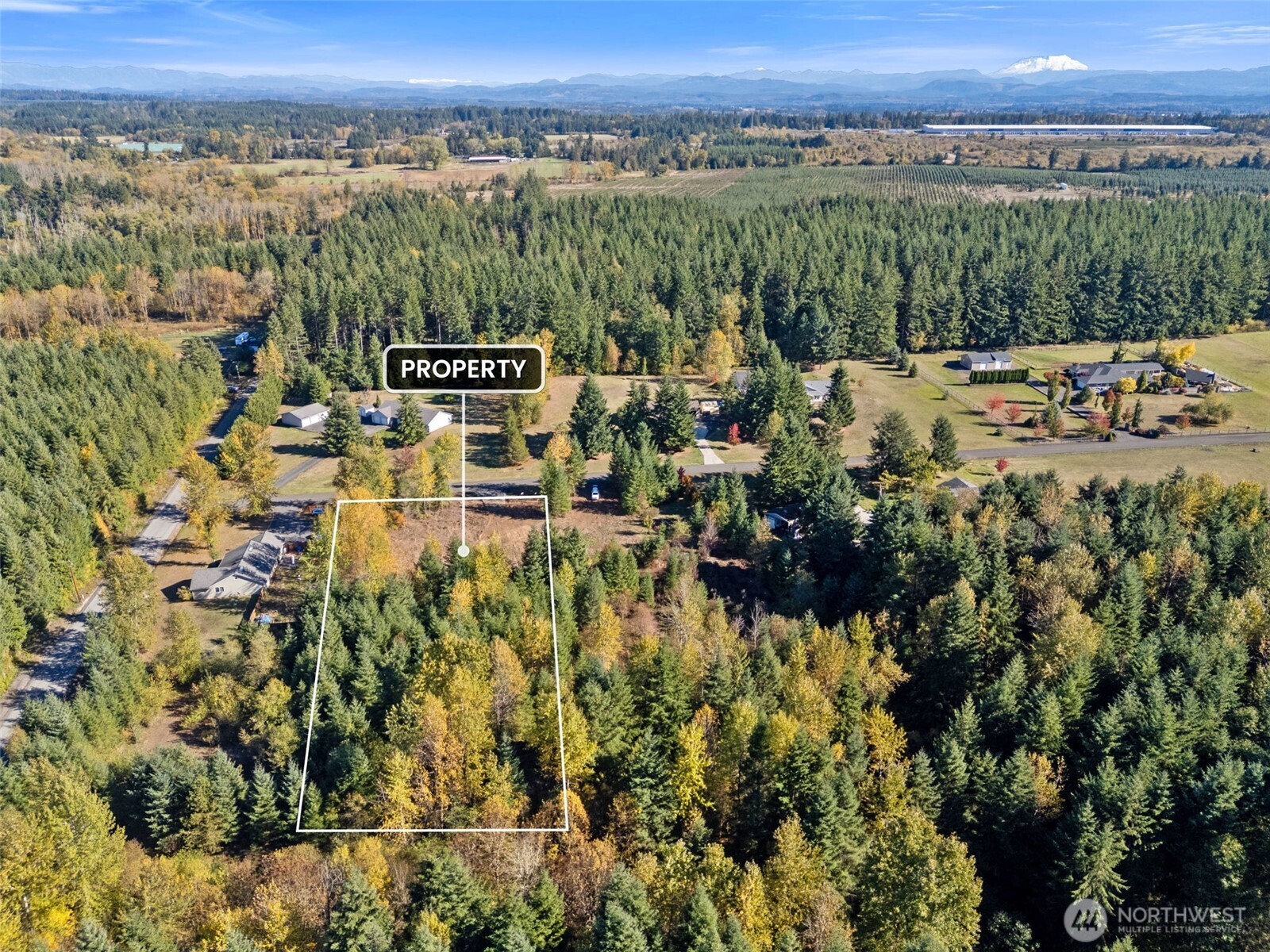 108 Timberline Ln , Winlock, WA 98596