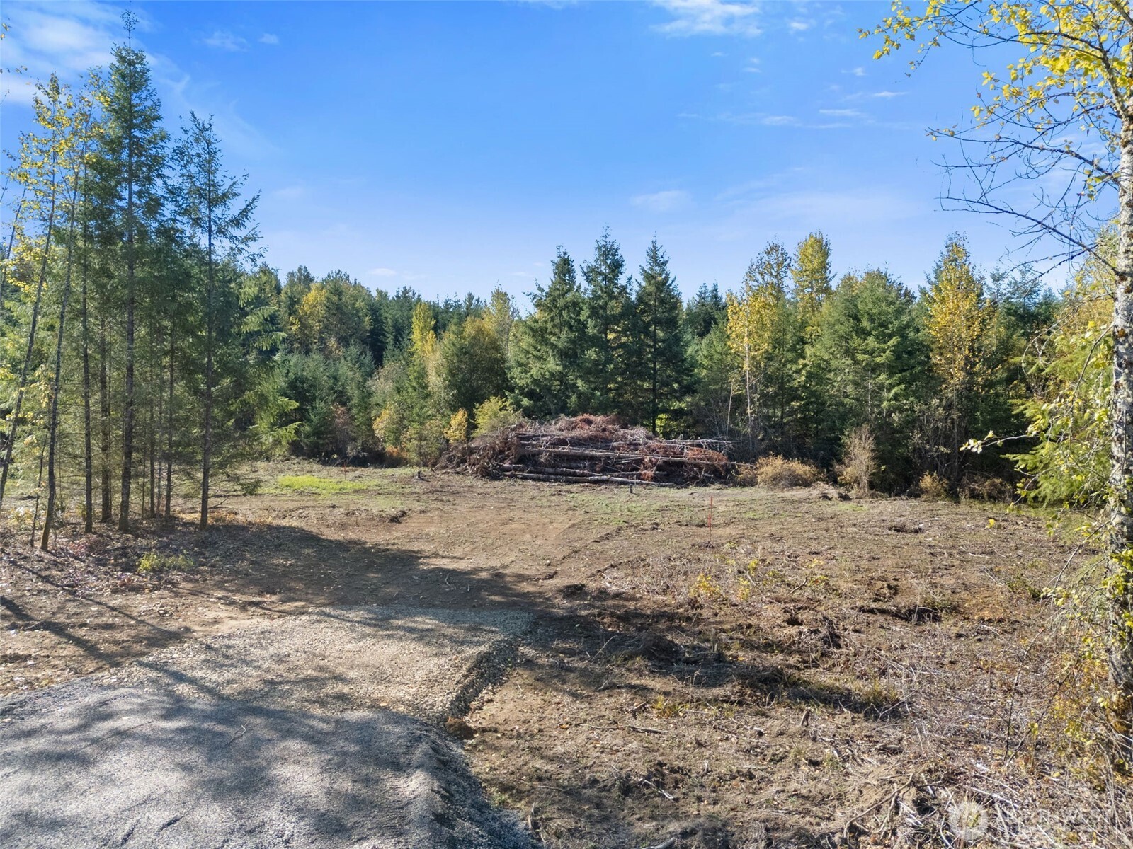 108 Timberline Ln , Winlock, WA 98596