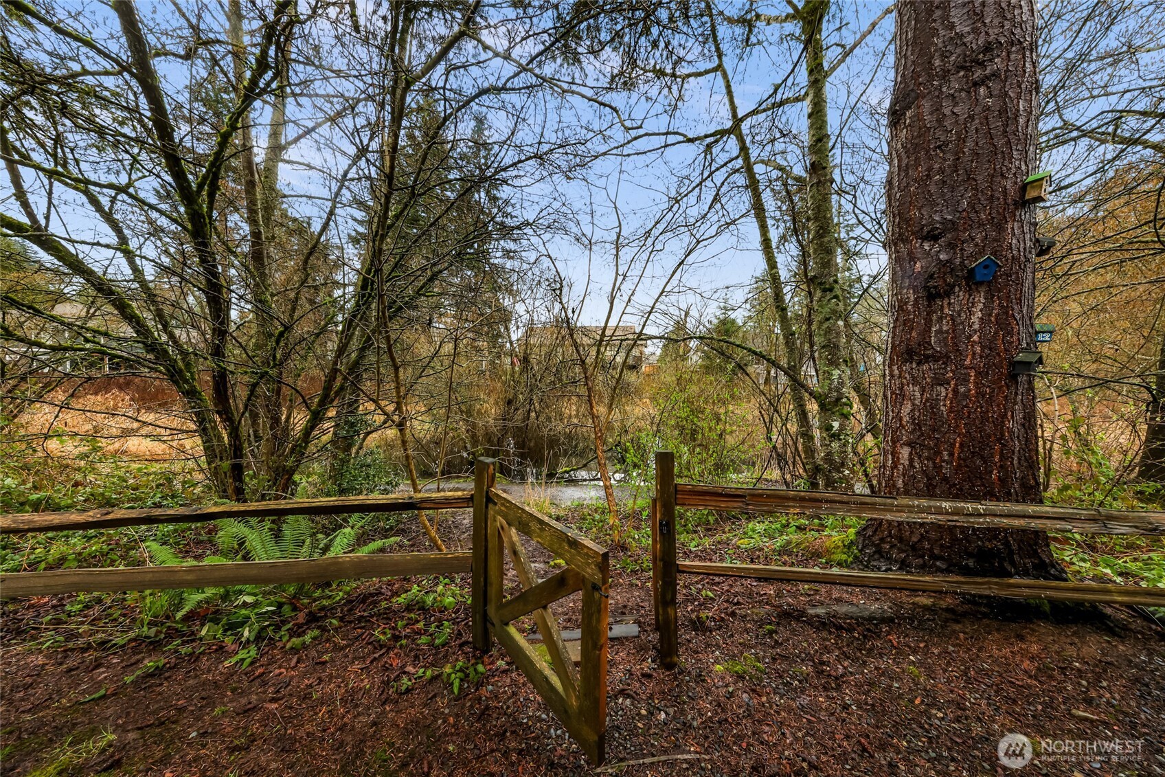 1163 Rene Court , Blaine, WA 98230