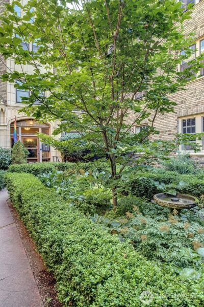 1605 E Olive Street #303, Seattle, WA 98122 - Photo 32