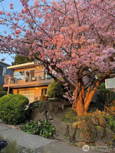 3439 24th Avenue W, Seattle, WA 98199 - Photo 2