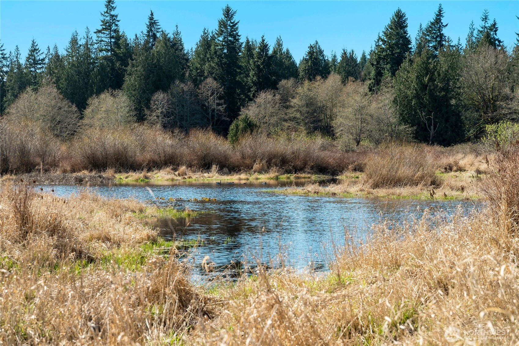 4320 Barbara Lane , Clinton, WA 98236