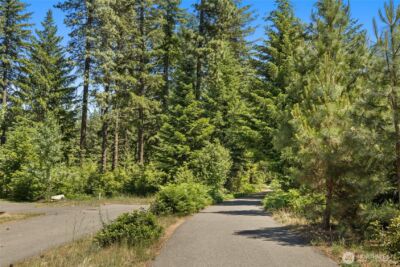 24 Kings Court , Cle Elum, WA 98922 - Photo 4