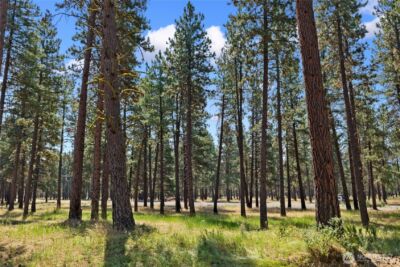3224 Airport Road , Cle Elum, WA 98922 - Photo 31