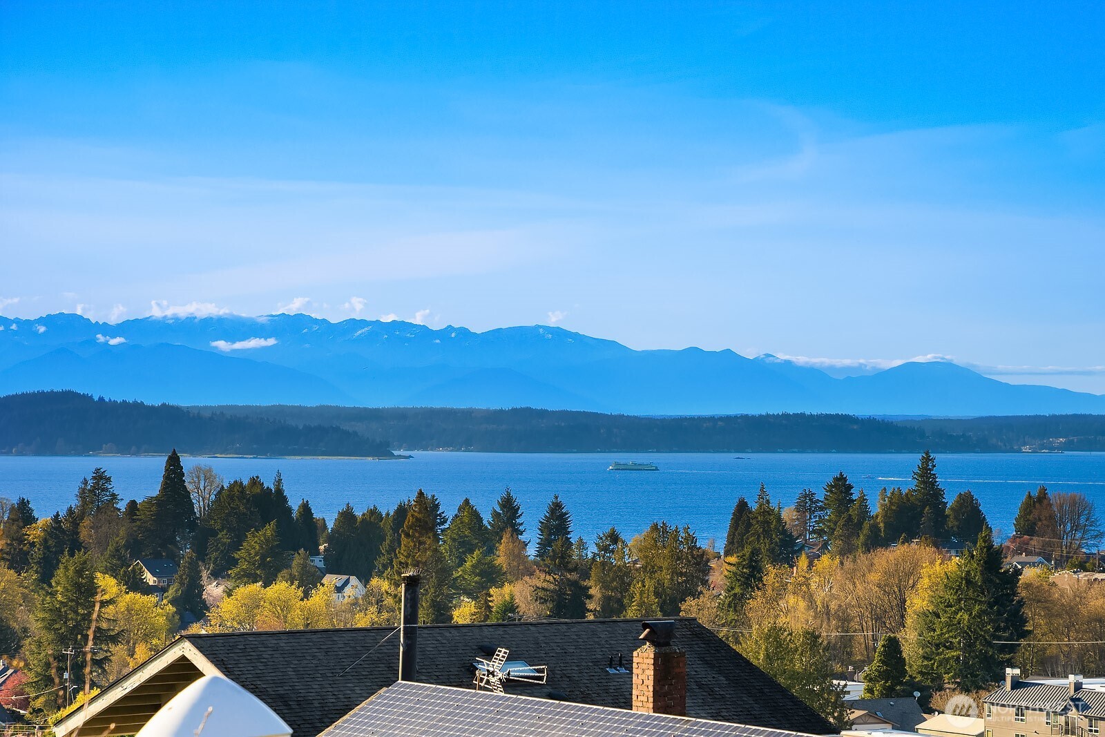 6746 41st Avenue SW, Seattle, WA 98136