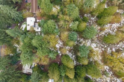 31204 55th Avenue S, Auburn, WA 98001 - Photo 4