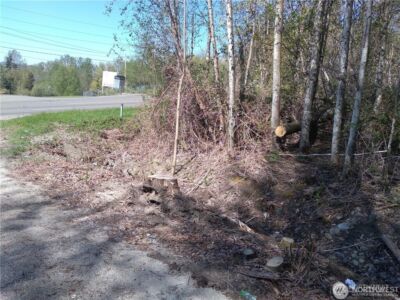 10043 SE Carr Road , Renton, WA 98055 - Photo 4